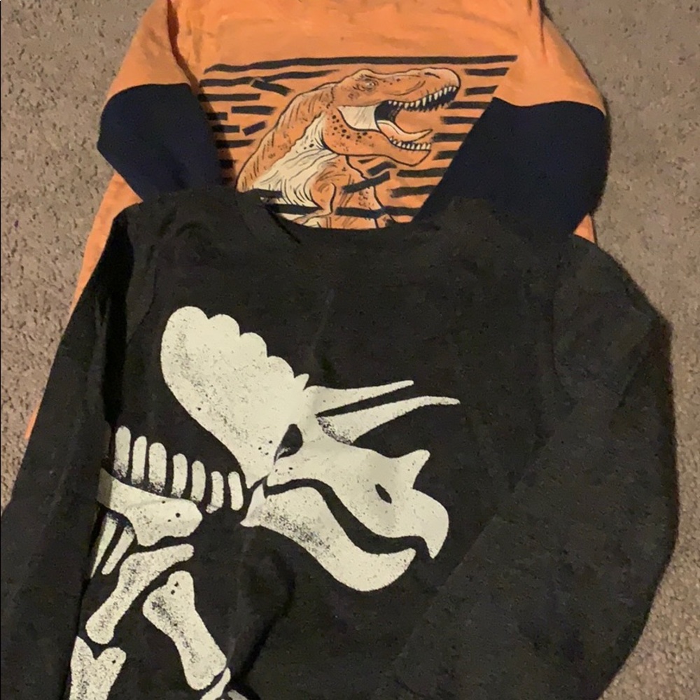 2 Boys Dinosaur Shirts